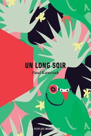 Un long soir by Paul Kawczak