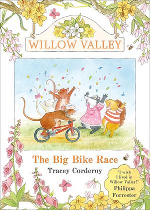 The Big Bike Race by Tracey Corderoy