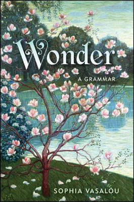 Wonder: A Grammar by Sophia Vasalou