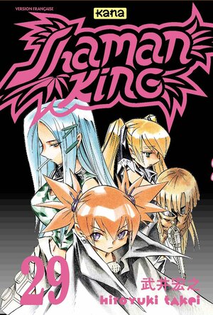 Shaman King, tome 29 by Hiroyuki Takei