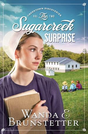 The Sugarcreek Surprise by Wanda E. Brunstetter, Wanda E. Brunstetter