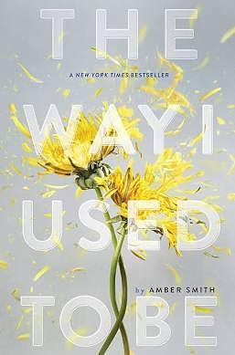 The Way I Used To Be  by Amber Smith