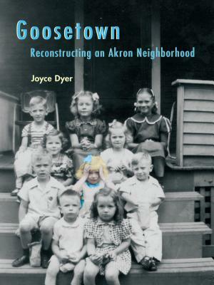Goosetown: Reconstructing an Akron Neighborhood by Joyce Dyer