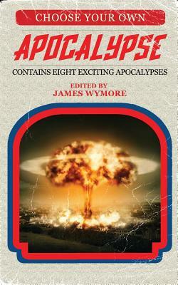 Choose Your Own Apocalypse by Holli Anderson, Robert J. Defendi, D.J. Butler