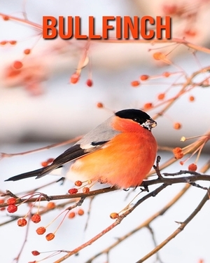 Bullfinch: Learn About Bullfinch and Enjoy Colorful Pictures by Diane Jackson