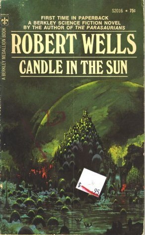 Candle in the Sun by Robert Wells