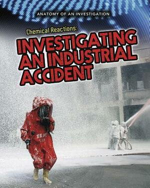 Chemical Reactions: Investigating an Industrial Accident by Richard Spilsbury