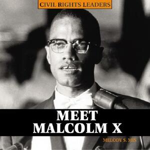 Meet Malcolm X by Melody S. Mis