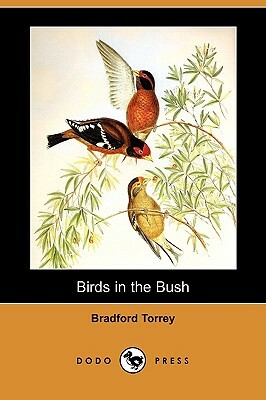 Birds in the Bush (Dodo Press) by Bradford Torrey