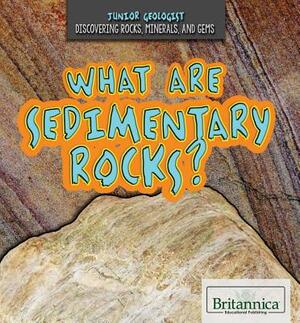 What Are Sedimentary Rocks? by Jennifer Culp