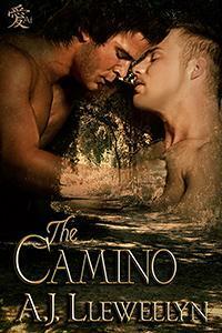 The Camino by A.J. Llewellyn