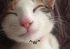 maryoliver's profile picture