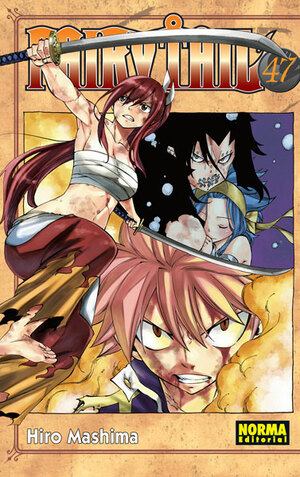 FAIRY TAIL 47 by Hiro Mashima