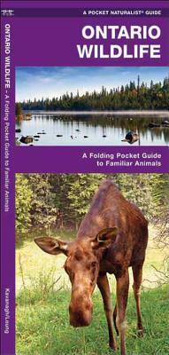 Ontario Wildlife: A Folding Pocket Guide to Familiar Animals by James Kavanagh, Waterford Press
