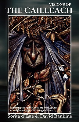 Visions of the Cailleach: Exploring the Myths, Folklore and Legends of the Pre-Eminent Celtic Hag Goddess by David Rankine, Sorita d'Este
