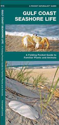 Gulf Coast Seashore Life: An Introduction to Familiar Plants and Animals by Waterford Press, James Kavanagh