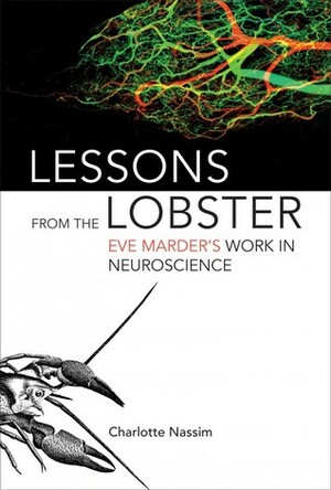Lessons from the Lobster: Eve Marder's Work in Neuroscience by Charlotte Nassim