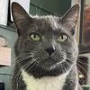 keking's profile picture