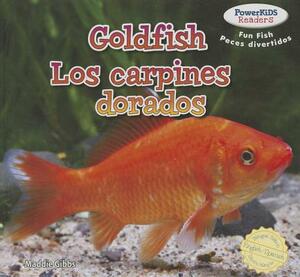 Goldfish / Los Carpines Dorados by Maddie Gibbs