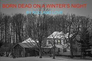 Born Dead on a Winter's Night by Rolland Love