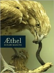 Æthel by Donato Mancini