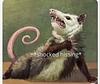 caseynb1's profile picture