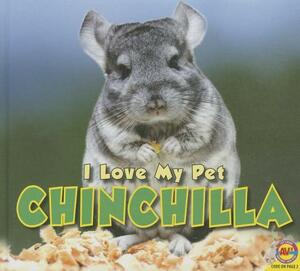 Chinchilla by Alexis Roumanis