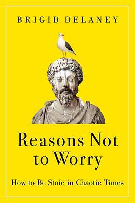 Reasons Not to Worry: How to Be Stoic in Chaotic Times: A Practical Guide to Stoicism for Self-Improvement and Personal Growth by Brigid Delaney, Brigid Delaney