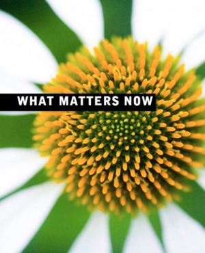 What Matters Now by Seth Godin