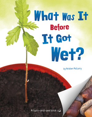 What Was It Before It Got Wet? by Kristen McCurry