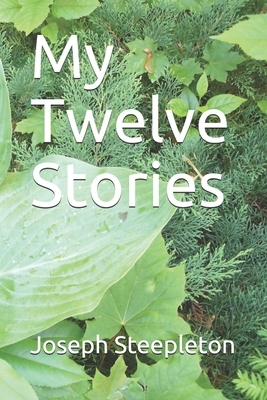 My Twelve Stories by Joseph Steepleton