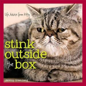 Stink Outside the Box: Life Advice from Kitty by Jeremy Greenberg