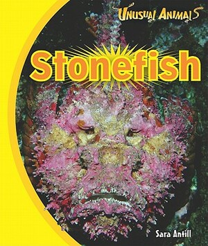 Stonefish by Sara Antill