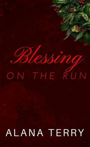 Blessing on the Run by Alana Terry