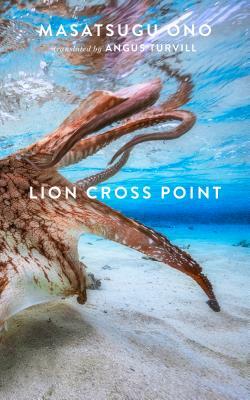 Lion Cross Point by Masatsugu Ono