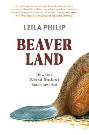 Beaverland: How One Weird Rodent Made America by Leila Philip