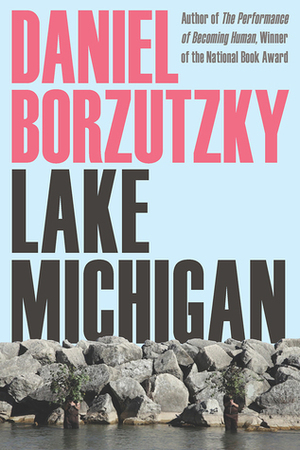 Lake Michigan by Daniel Borzutzky