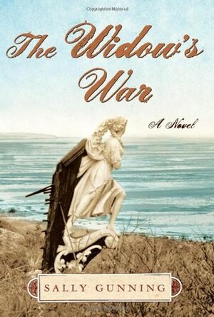 The Widow's War by Sally Cabot Gunning