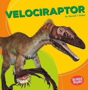 Velociraptor by Harold Rober