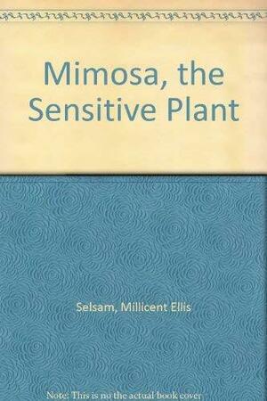 Mimosa, The Sensitive Plant by Jerome Wexler, Millicent E. Selsam