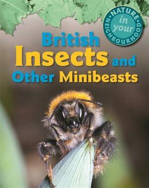 Nature in Your Neighbourhood: British Insects and Other Minibeasts by Clare Collinson