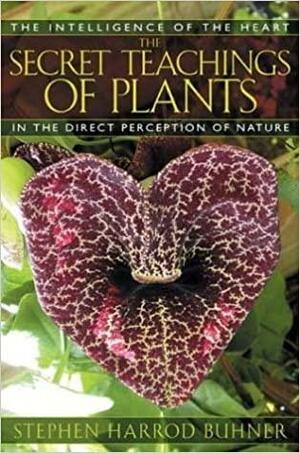 Secret Teachings Of Plants by Stephen Harrod Buhner