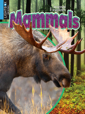 Mammals by Megan Kopp