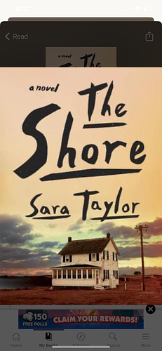 The Shore by Sara Taylor