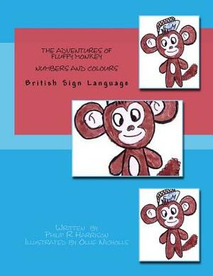 The Adventures Of Fluffy Monkey: Numbers and Colours BSL by Philip R. Harrison