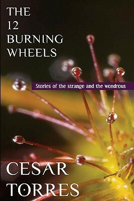 The 12 Burning Wheels by Cesar Torres