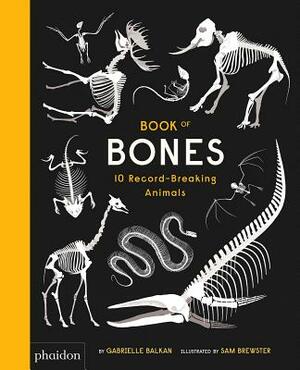 Book of Bones: 10 Record-Breaking Animals by Gabrielle Balkan