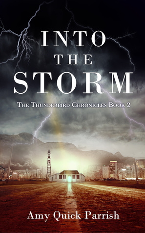 Into the Storm by Amy Quick Parrish