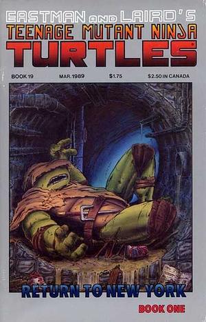 Teenage Mutant Ninja Turtles #19 by Kevin Eastman, Peter Laird