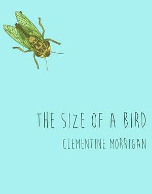 The Size of a Bird by Clementine Morrigan
